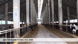 elvi-1 „Елви“ ООД Габрово © gabrovomuseum.bg, Дестинация Успех - Бизнесът в Габрово