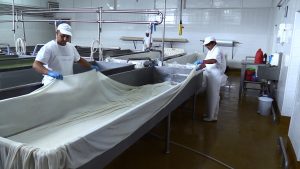 elvi-2 „Елви“ ООД Габрово © gabrovomuseum.bg, Дестинация Успех - Бизнесът в Габрово